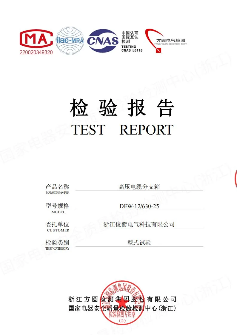 型式试验 第1页